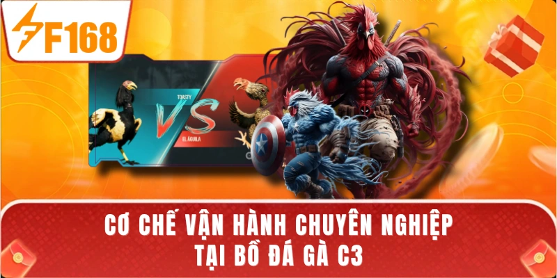 Cơ chế vận hành chuyên nghiệp tại bồ đá gà C3