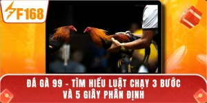Đá Gà 99 - Tìm Hiểu Luật Chạy 3 Bước Và 5 Giây Phân Định