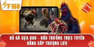Đá Gà Cựa Dao - Đấu Trường Trực Tuyến Đẳng Cấp Thượng Lưu